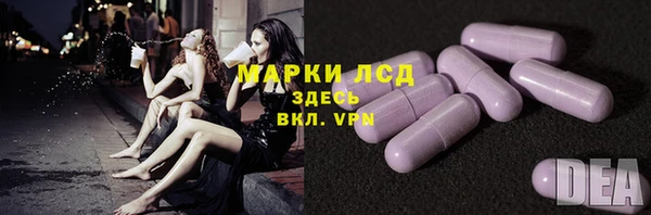 прущие грибы Балабаново