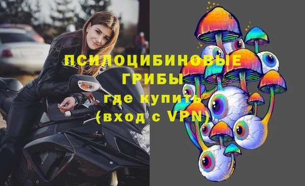 прущие грибы Балабаново