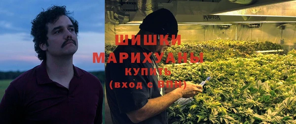 прущие грибы Баксан