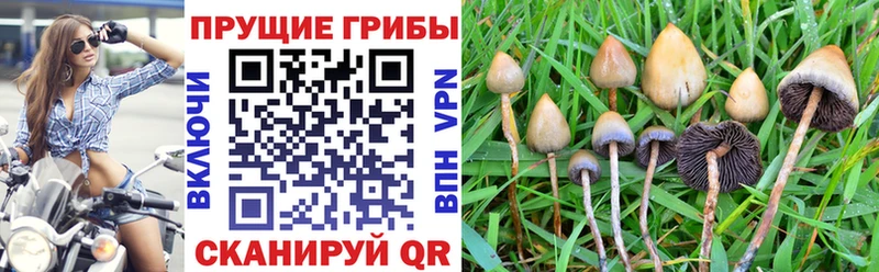 Псилоцибиновые грибы Magic Shrooms  наркошоп  Боровск 
